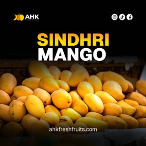 Sindhri Mango